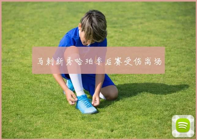 马刺新秀哈珀季后赛受伤离场