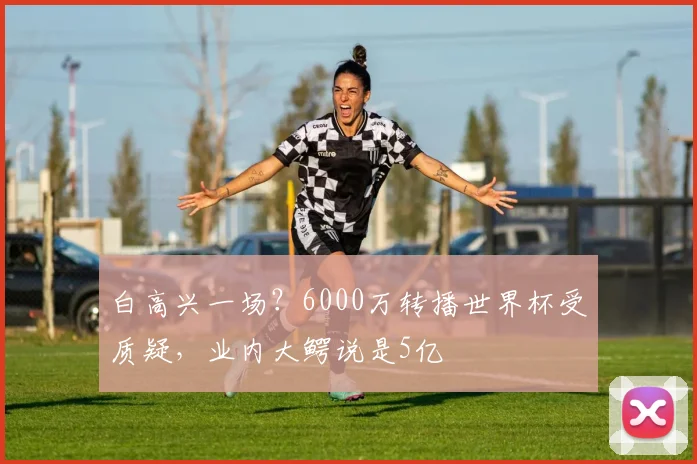 白高兴一场？6000万转播世界杯受质疑，业内大鳄说是5亿